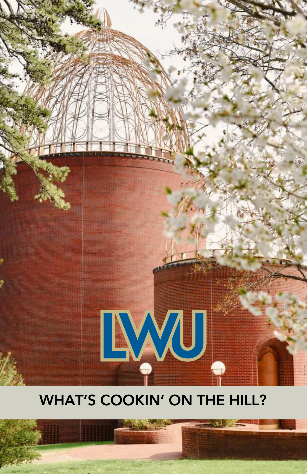 LWU Cookbook